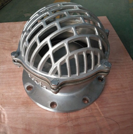 Quality Cast Iron Water Pump Foot Valve with Stainless Steel 304 Mush PN10 PN16 ANSI and Support wholesale