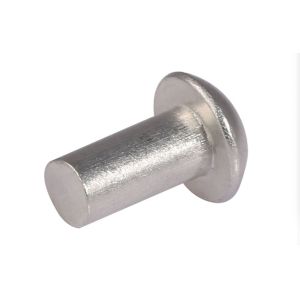 Stainless Steel Dome Head Solid Rivets M1-M30 Size With DIN ISO Standard