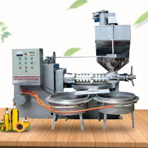 Stainless Steel 100r/Min Rapeseed Screw Oil Press Machine