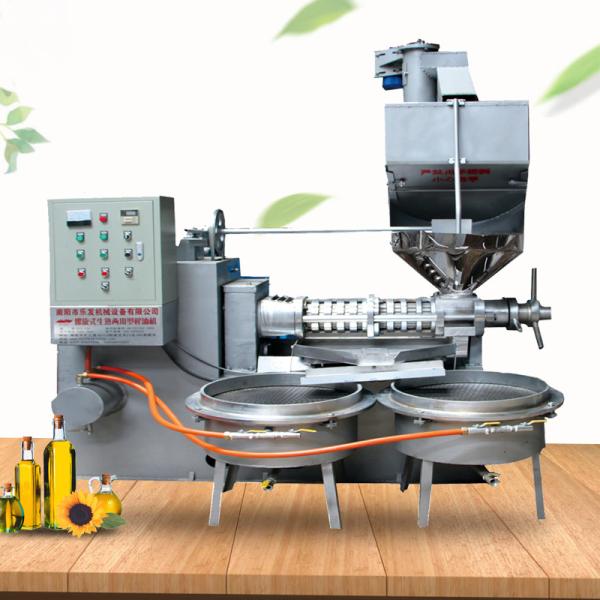 Quality Stainless Steel 100r/Min Rapeseed Screw Oil Press Machine wholesale