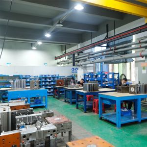 Customized Texturing Moldings Toolings Design With 3D Drawing Change Moldflow