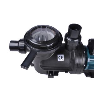 Electric 1.1 Kw Running Swimming Pool Water Pump 2Hp Single Stage