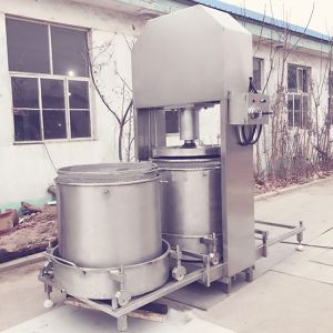industrial small scale watermelon juice cold pressed machine with hydraulic