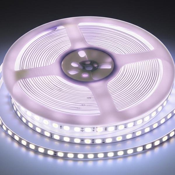 30 Years Lifespan LED Strip Lights with Dimming Capability and PVC Lamp Body