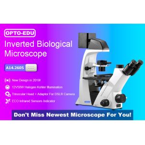 Cheap 20x / 40x Annular Spot Inverted Optical Microscope Trinocular A14.2605 for sale