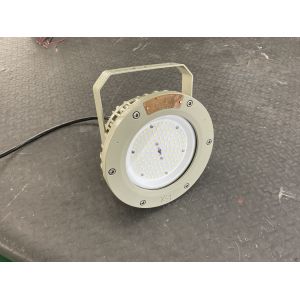 Heavy Duty ATEX CNEX Certified Explosion Proof High Bay LED Light IP66 100W 150W