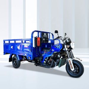DAYANG 150CC Cargo Tricycle Open Body with Single Cyclinder 4 Stroke Engine and 9 Seats