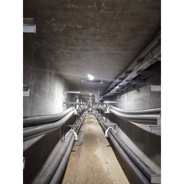 Quality Status Code 403 Explosion Proof Fluorescent Light Safe and Durable for Industrial Applications wholesale