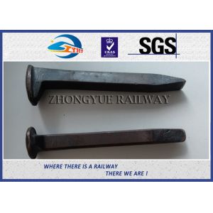 Black Oxide Customized Dog Spikes With ISO Certificate 4.6# Material