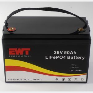China High-Power Electric Bicycle Lithium Iron Phosphate 36V 50AH Battery Pack on sale