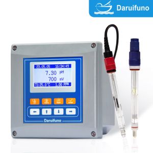 Dule Channels Analog PH And ORP Controller With RS485 For Industrial Wastewater