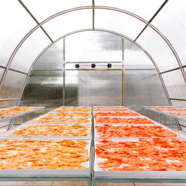 Energy-Efficient PC Board Drying Greenhouse with Controlled Ventilation for