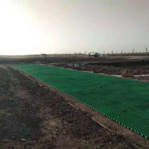 HDPE Plastic Protection Parking Lots Material Plastic Grass Paver for Origin