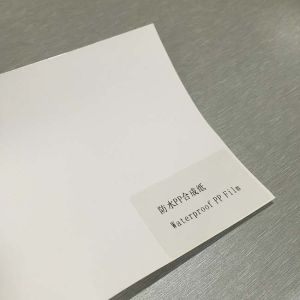 Pp Synthetic Paper Sticker Self Adhesive PP Paper 7 Mil