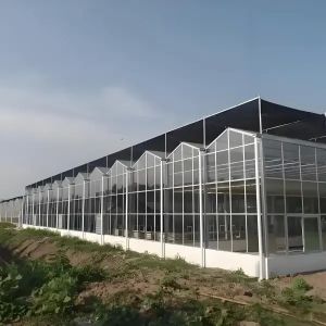 China Polycarbonate Venlo Greenhouse for Flower Hydroponics Durable on sale