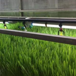 Cheap Indoor Hydroponics Commercial Microgreen Growing System with JX-Container-Greenhouse for sale