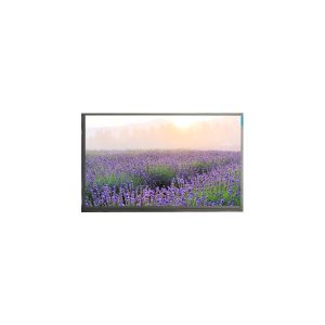 Cheap Hot Sell 15.6 inch N156HGE-EBL 1920*1080 220 cd/m2 LCD Panel for sale