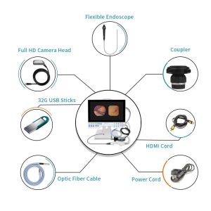 TUYOU Brain Surgery Tool All-In-One Rigid & Flexible Endoscopy Camera System For