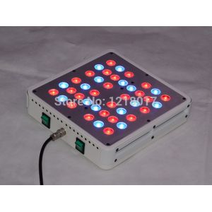 Cheap APOLLO 4 40×5W LED Grow Light ,two swtich for MJ plant veg and flower for sale