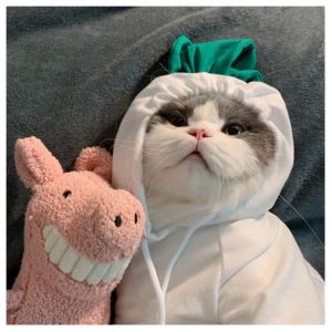 Autumn And Winter Cotton Plush Hooded Sweater For Pet