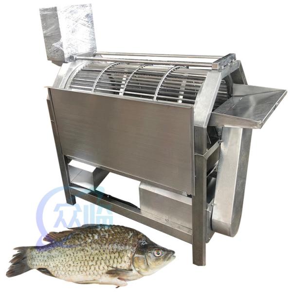 Seafood processing plant machinery and equipment efficiently remove fish scales