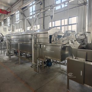 Automatic Peanut Coating Machine with 500-1000kg/h Capacity and Intelligent