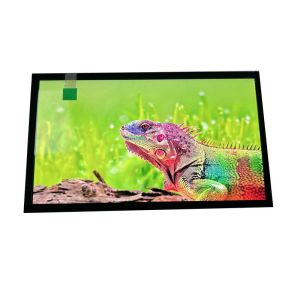 Cheap 7inch Industrial LCD with MIPI Interface 2500 Cd/m² Luminance 1080x1920 Display for sale