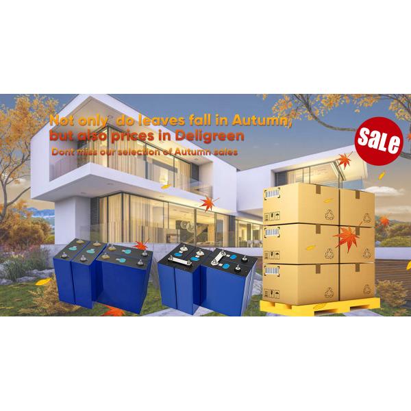 EU Stock Lifepo4 Battery 12V 24V 48V 280AH 320ah Pack TAX FREE DDP Free Shipping