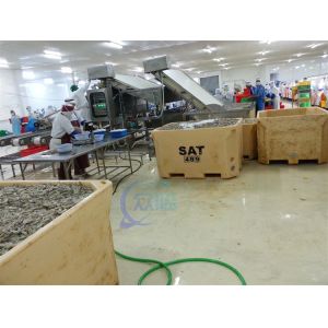 Seafood and shrimp grading processing machine, shrimp and fish sorting machine,
