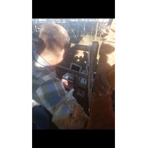 Pet Animal Veterinary Ultrasound Machine Convex Probe 10.4in Led Screen