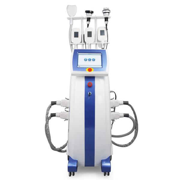 Quality 360 Cryolipolysis Fat Freezing Machine For Body Double Chin Fat Removal wholesale
