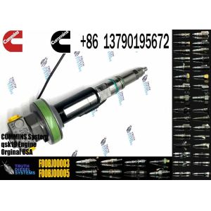 Common Rail Fuel Injector 2882078 F00BJ00002 F00BJ00003 Fuel Injector For QSK50