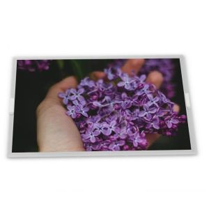 Cheap and good 19.0-Inch WLED LCD Display Module Customizable 1280*1024 Resolution ODM M190EG01 V.3 Modules for sale