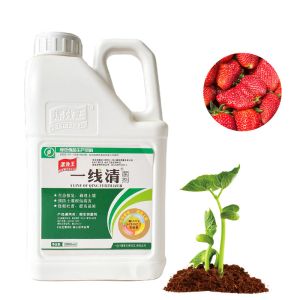 Crop Nutrition Soil Conditioner Fertilizer 60-70% Shiny Flake Potassium Humate