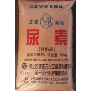 Urea SNCR Flue Gas Denitrification Project In Coal Power Plant