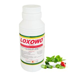 Leading Manufacturer Of Organic Liquid Foliar Root Fertilizer For Agriculture