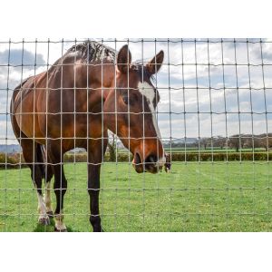 Silver Fixed Knot Deer Fence With Square Hole Shape Hot Dipped Galvanized