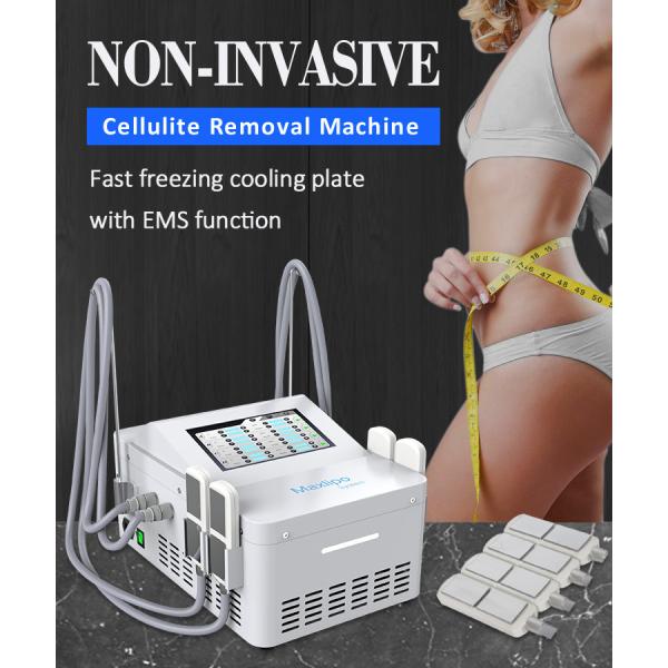 Quality EMS Cryo Shape Wieght Loss Fat Freeze Slimming Machine 200us wholesale