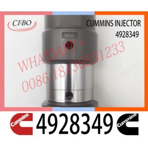 genuine QSK19 fuel injector nozzle 4928349 4087890 for construction hinery