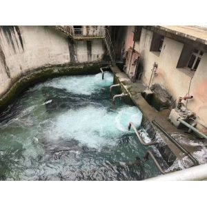 200kw 20mw Automatic Control Manual Vertical/Horizontal Water Turbine Generator