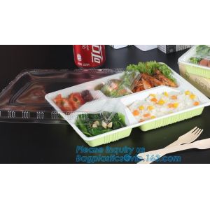 Disposable PP plastic food container 3 compartment containers / bento box / meal