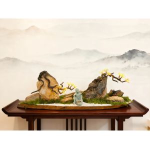 Durable home decorative lights, suitable for use in living rooms and tea rooms indoors.