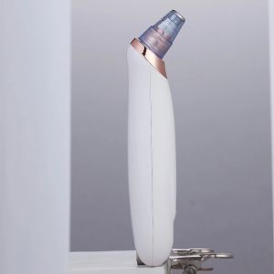 Penguin Shape Skin Beauty Tool 3 Levels Adjustable Intensity Facial Pore