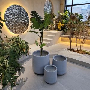 Modern And Versatile Fiber Clay Planter For Both Indoor And Outdoor Plant