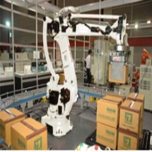 4 Axis Palletizing Robot Used NACHI Robots For Industrial Robot