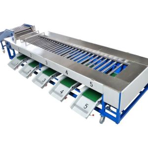 Fruit Weight Selecting Fruit Vegetable Processing Machine For Grading Sorting