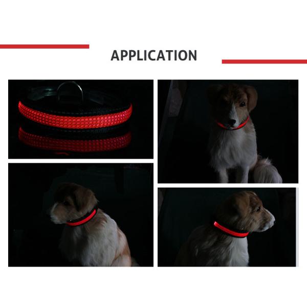 Small / Medium Size LED Nylon Pet Personalized Dog Collars Luminious