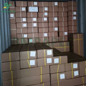 108g 130g Color Inkjet Printing Paper Rolls Gloss Matt Coating A0 Size 841mm X