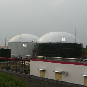 IC UASB Gobar Gas Plant Project Methane Digester Tank Movable