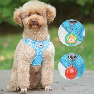 Pet Reflective Adjustable Harness Dog Breathable Mesh Harness And Leash Set